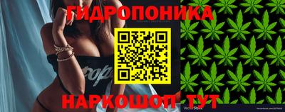 mdpv Северобайкальск